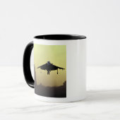 Eine Geländeläuferjet-Landung auf dem Mall an der Tasse (Vorderseite Links)