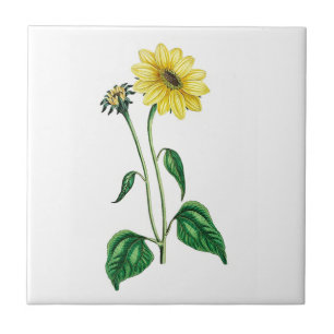 Eine Gelbe Daisy-Keramik Fliese
