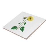 Eine Gelbe Daisy-Keramik Fliese (Seite)