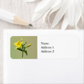 Eine gelbe Lilie (Insitu)