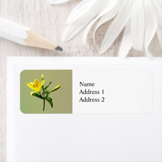 Eine gelbe Lilie (Insitu)