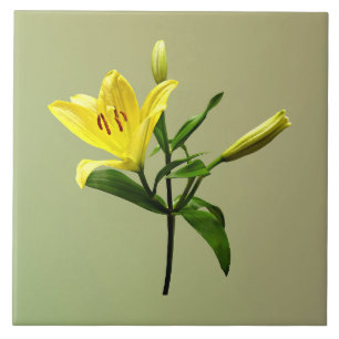 Eine gelbe Lilie Fliese