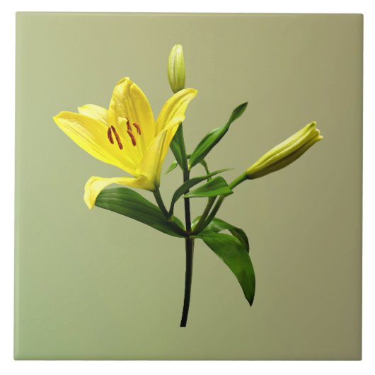 Eine gelbe Lilie Fliese (Vorderseite)