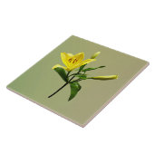 Eine gelbe Lilie Fliese (Seite)