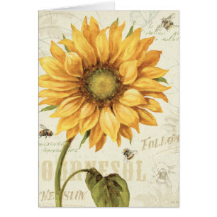 Eine gelbe Sonnenblume