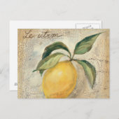 Eine gelbe Zitronenfrucht Postkarte (Vorne/Hinten)