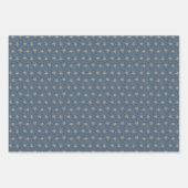 Eine gemischte Käfersammlung Geschenkpapier Set (Vorderseite 2)
