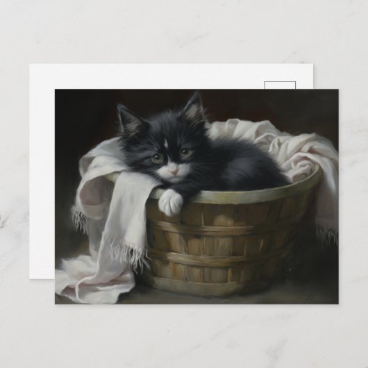 Eine gemütliche Kätzchen Postkarte (Vorne/Hinten)