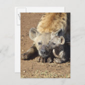 Eine Gepunktete Hyena und ihr Junge, Krüger Postkarte (Vorne/Hinten)