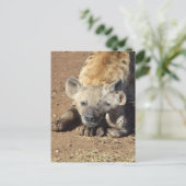 Eine Gepunktete Hyena und ihr Junge, Krüger Postkarte (Stehend Vorderseite)