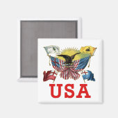 Eine Geschichte amerikanischer Flaggen auf einem H Magnet (Vorderseite/Rückseite)