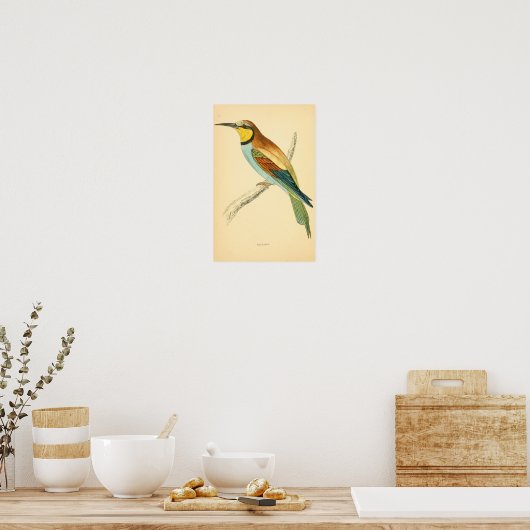 Eine Geschichte britischer Vögel 1863 BEE-EATER Poster (Küche)