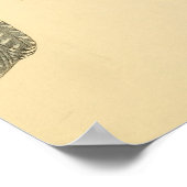 Eine Geschichte britischer Vögel 1863 BELTED-KINGF Poster (Ecke)