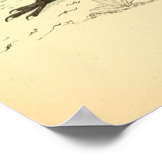 Eine Geschichte britischer Vögel 1863 CROW Poster (Ecke)