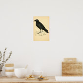 Eine Geschichte britischer Vögel 1863 CROW Poster (Küche)