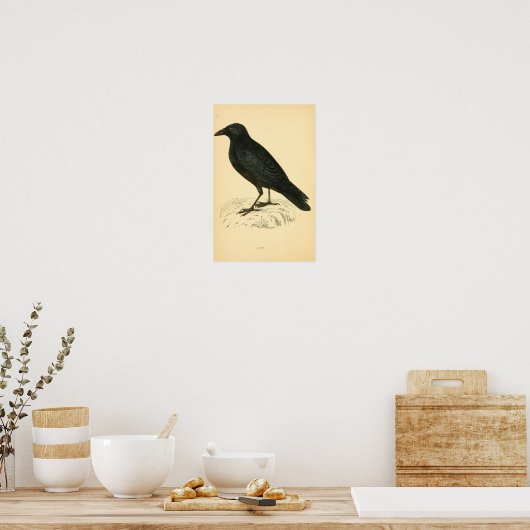 Eine Geschichte britischer Vögel 1863 CROW Poster (Küche)