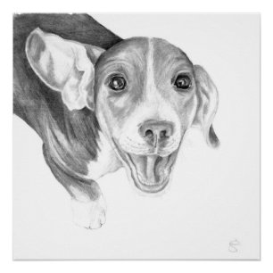 Eine Geschichte zu erzählen, ein Beagle Welpe Poster
