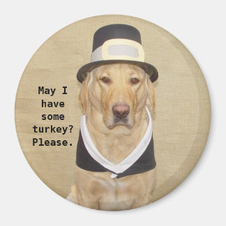 Eine gesegnete Pilgrim Magnet