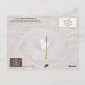 Eine giftige Ost-Cottonmouth-Schlange Postkarte (Rückseite)
