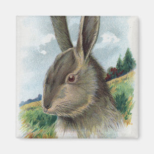 Eine glückliche EastertideGray Kaninchen-Szene Magnet