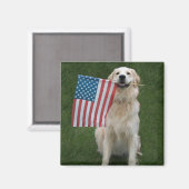 Eine "Goldene Feier" Magnet (Vorderseite/Rückseite)