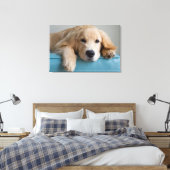 Eine goldene Retriever Welpe Leinwanddruck (Insitu (Schlafzimmer))