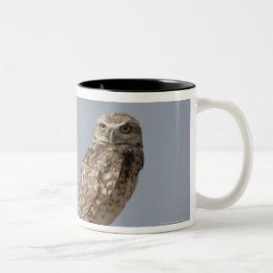 Eine grabende Eule, die auf einem Zaunposten Zweifarbige Tasse