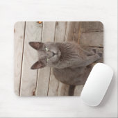 Eine graue noble Katze Mousepad (Mit Mouse)