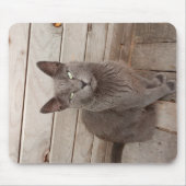 Eine graue noble Katze Mousepad (Vorne)