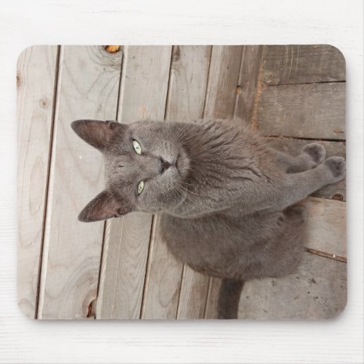 Eine graue noble Katze Mousepad (Vorne)
