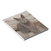 Eine graue noble Katze Notizblock (angewinkelt)