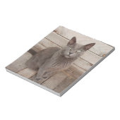 Eine graue noble Katze Notizblock (Rotiert)