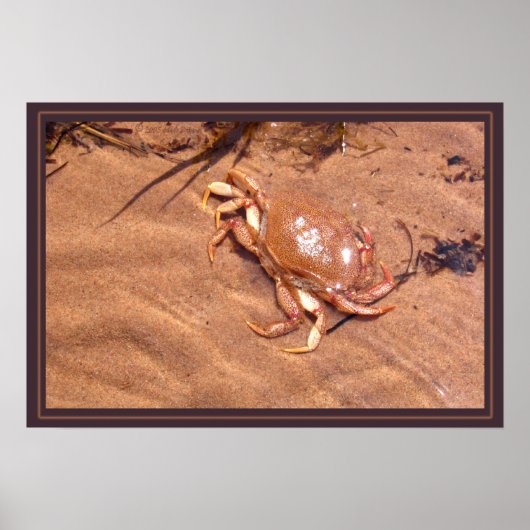 Eine grausame Küste Poster (Vorne)