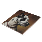 Eine große Dane Tile Fliese (Seite)