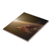 Eine große Eruption um Star Ngc 2547-Id8. Fliese (Seite)