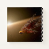 Eine große Eruption um Star Ngc 2547-Id8. Notizblock (Rückseite)