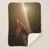 Eine große Eruption um Star Ngc 2547-Id8. Sherpadecke (Vorderseite)