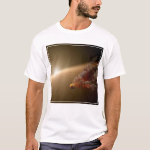 Eine große Eruption um Star Ngc 2547-Id8. T-Shirt