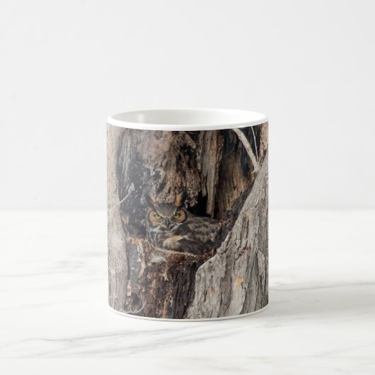 Eine große Horned Owl in Kaffeetasse (Mittel)