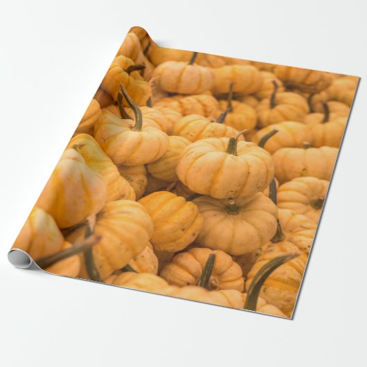Eine große Menge an Pumpkins Geschenkpapier (Ungerollt)