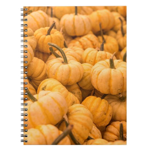 Eine große Menge an Pumpkins Notizblock (Vorderseite)