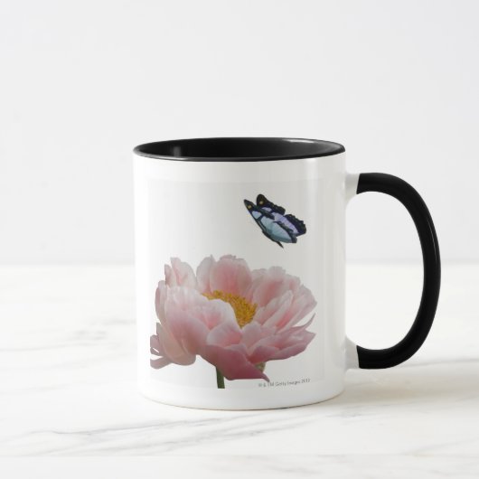 eine große rosa Pfingstrose wird durch ein Tasse (Rechts)