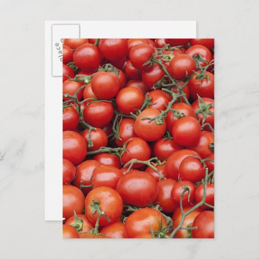 Eine große Tomatenpflanze auf einem Markt hält sic Postkarte (Vorne/Hinten)