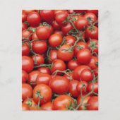 Eine große Tomatenpflanze auf einem Markt hält sic Postkarte (Vorderseite)