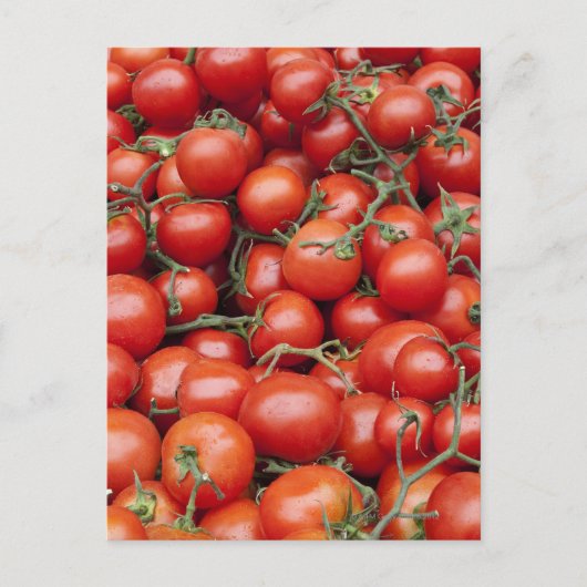 Eine große Tomatenpflanze auf einem Markt hält sic Postkarte (Vorderseite)