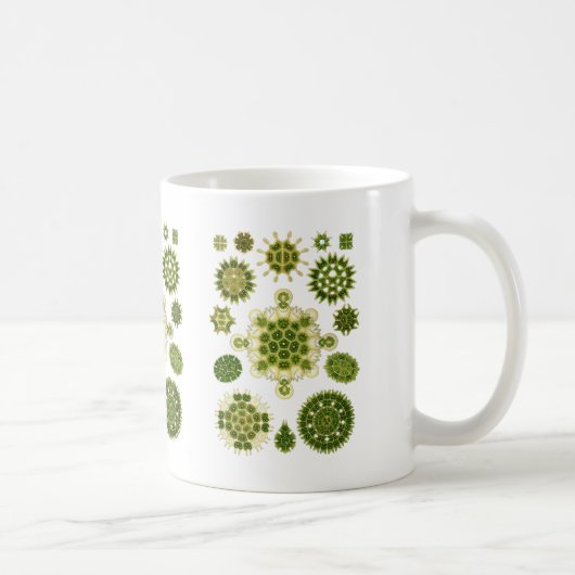 Eine Grünalge Kaffeetasse (Rechts)