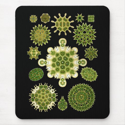 Eine Grünalge Mousepad (Vorne)