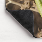 Eine grüne Erbsen-Hülse auf einer getrockneten Mousepad (Ecke)