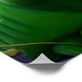 Eine grüne Raupe, die das Bild einer feinen Fahrt  Poster (Ecke)