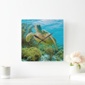 Eine grüne Schildkröte an den schmalen Riffen von  Quadratische Wanduhr (Zuhause)